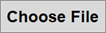 the Choose File button